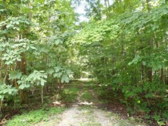 Tract 1 Off Green Stable Lane Lane, Monticello, KY 42633