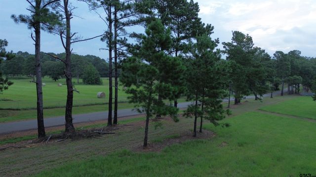 Tract 2 000 FM 2493 E, Bullard, TX 75757