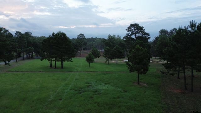 Tract 2 000 FM 2493 E, Bullard, TX 75757