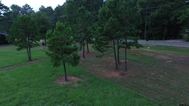 Tract 2 000 FM 2493 E, Bullard, TX 75757