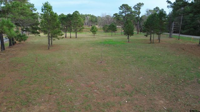 Tract 2 000 FM 2493 E, Bullard, TX 75757