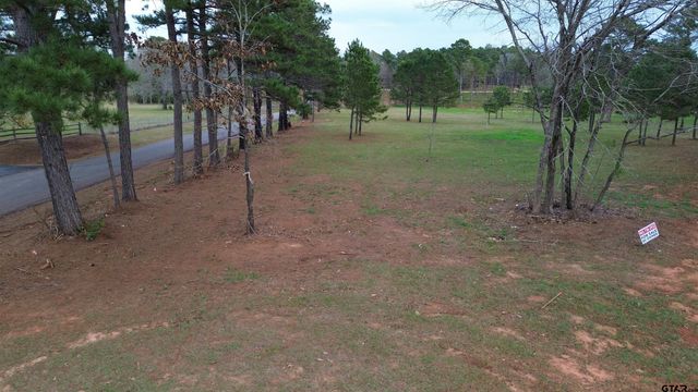 Tract 2 000 FM 2493 E, Bullard, TX 75757