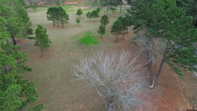 Tract 2 000 FM 2493 E, Bullard, TX 75757