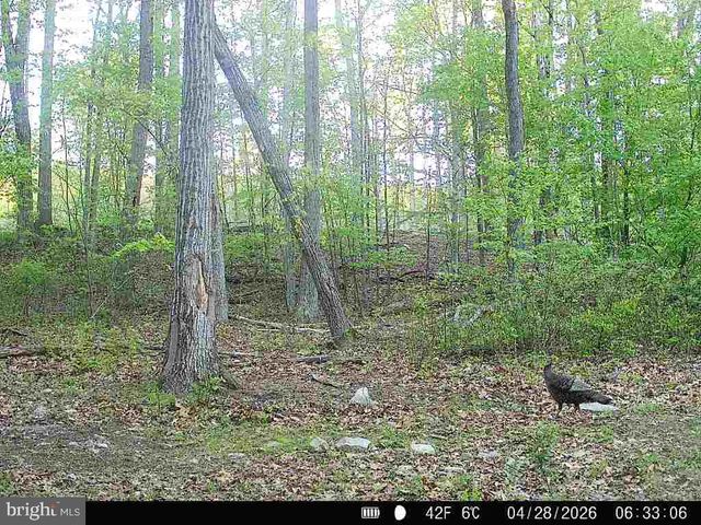 3278 CAMP SWATARA RD, Bethel, PA 19507