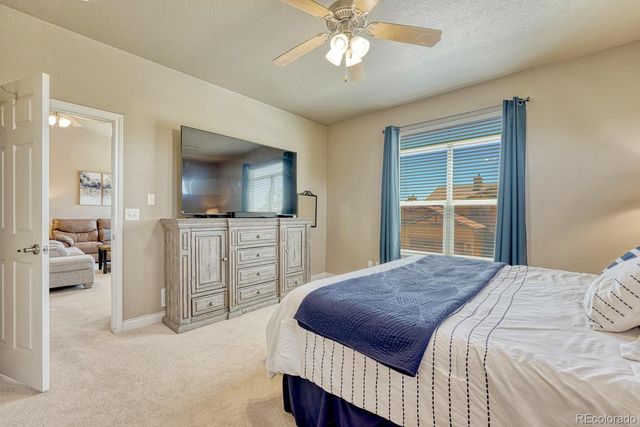 8492 Artesian Springs Point, Colorado Springs, CO 80920