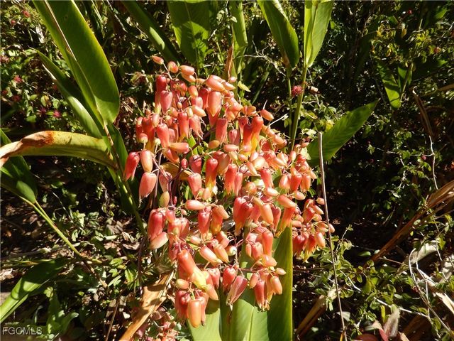 229 SE 46th LN, Cape Coral, FL 33904