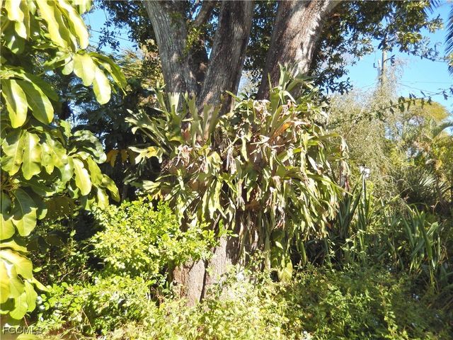 229 SE 46th LN, Cape Coral, FL 33904