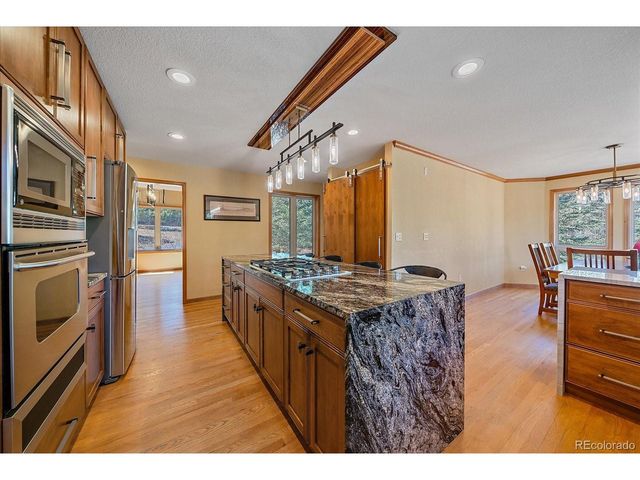 9948 S Turkey Creek Rd, Morrison, CO 80465