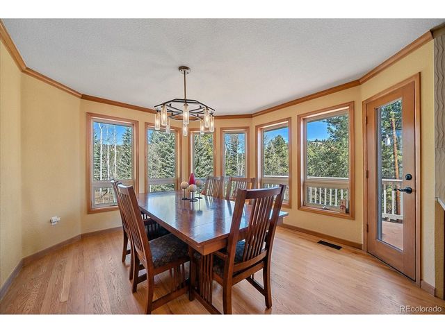9948 S Turkey Creek Rd, Morrison, CO 80465