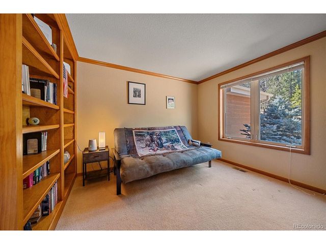9948 S Turkey Creek Rd, Morrison, CO 80465