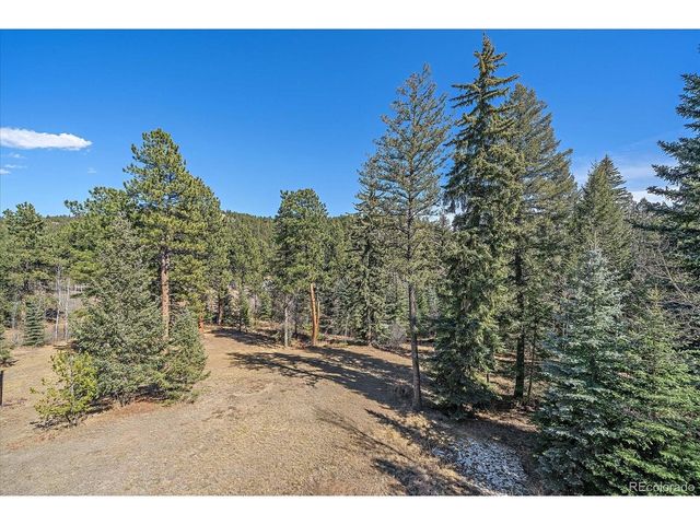 9948 S Turkey Creek Rd, Morrison, CO 80465