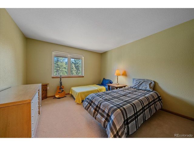 9948 S Turkey Creek Rd, Morrison, CO 80465