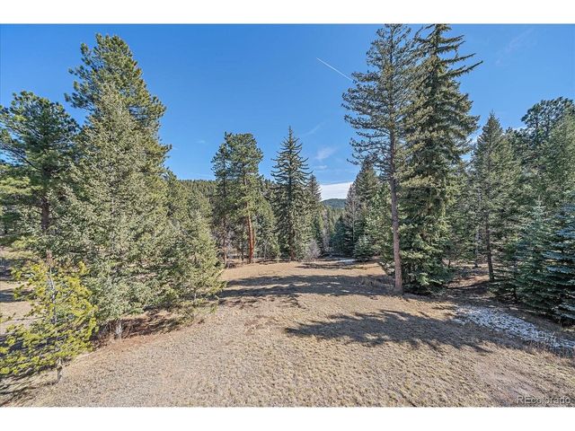 9948 S Turkey Creek Rd, Morrison, CO 80465