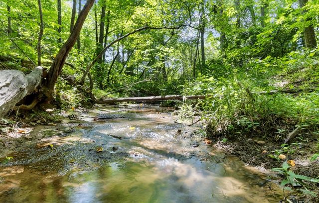 120 Brookhaven Trail, Blue Ridge, GA 30513