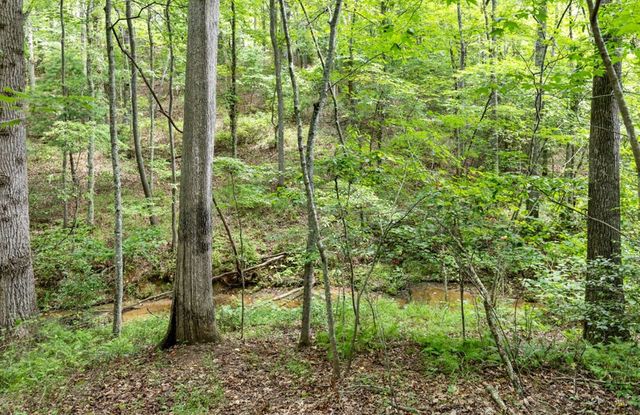 120 Brookhaven Trail, Blue Ridge, GA 30513