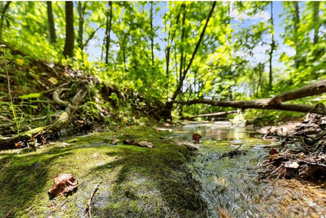 120 Brookhaven Trail, Blue Ridge, GA 30513