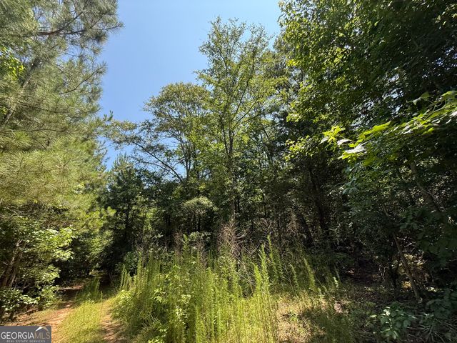9 Emmaus Drive, Elberton, GA 30635
