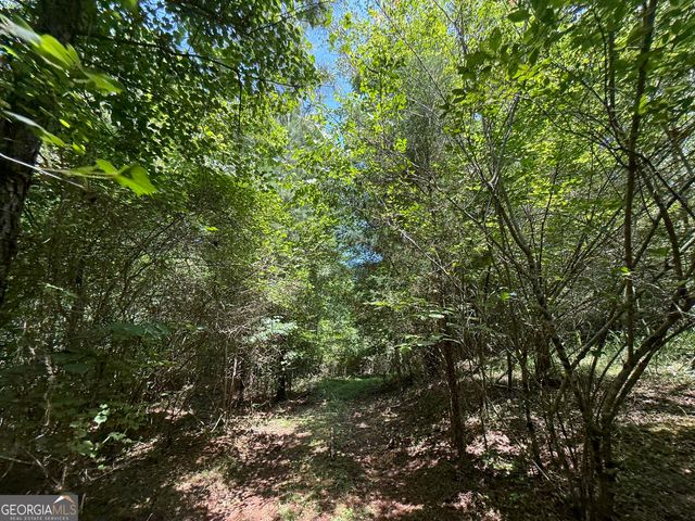 9 Emmaus Drive, Elberton, GA 30635