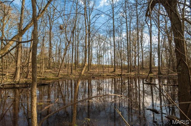 25097 State Highway 25, Bloomfield, MO 63825