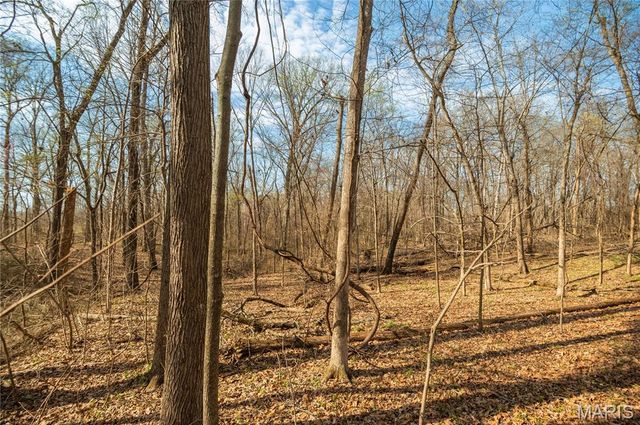 25097 State Highway 25, Bloomfield, MO 63825