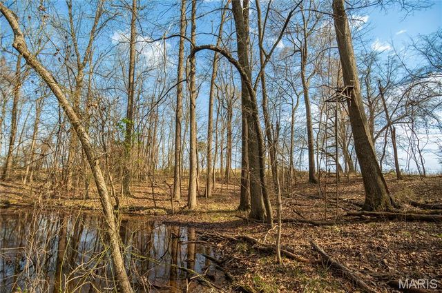 25097 State Highway 25, Bloomfield, MO 63825