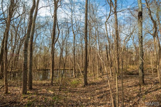 25097 State Highway 25, Bloomfield, MO 63825