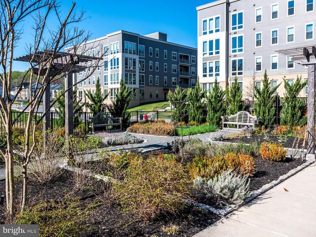 7922 ASHLAND DR, Alexandria, VA 22315