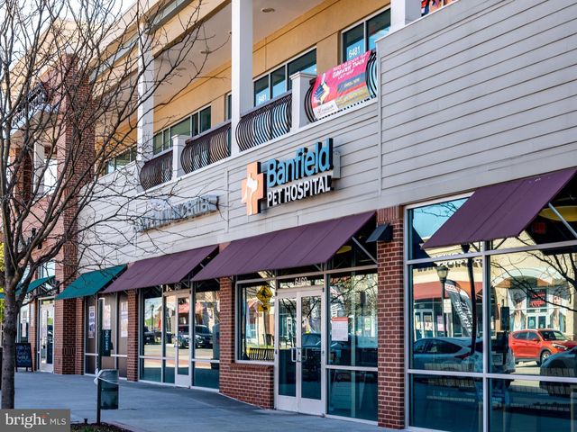 7922 ASHLAND DR, Alexandria, VA 22315