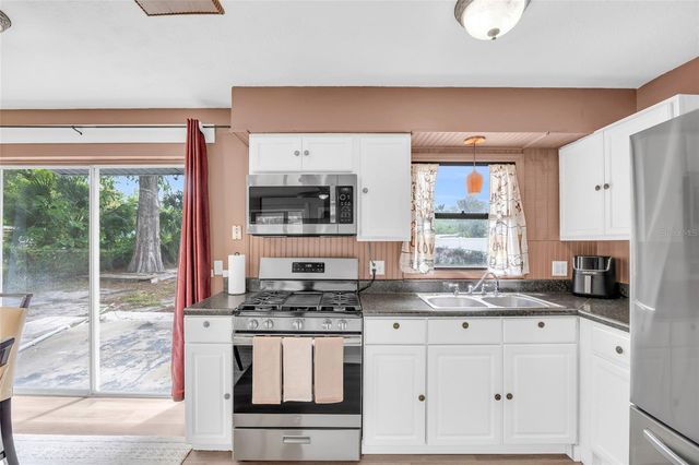 890 GOLDEN ISLE DRIVE, Mount Dora, FL 32757