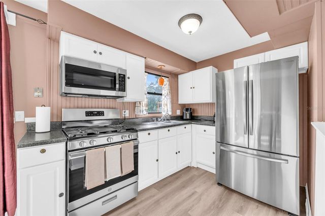 890 GOLDEN ISLE DRIVE, Mount Dora, FL 32757