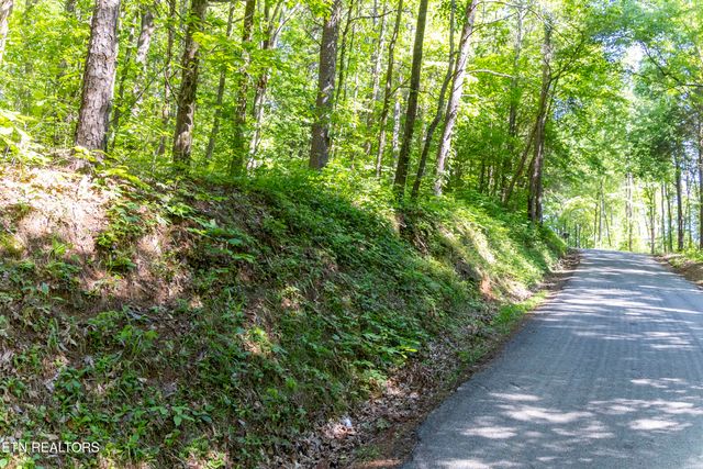 CO RO 121, Lot 7, 10.12 AC, Athens, TN 37303