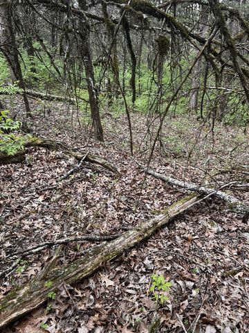 975 Main St, Lynchburg, TN 37352