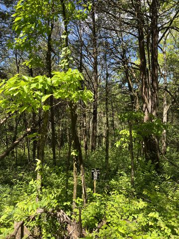 975 Main St, Lynchburg, TN 37352