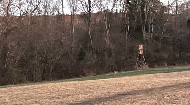 5365 Sango Rd, Clarksville, TN 37043