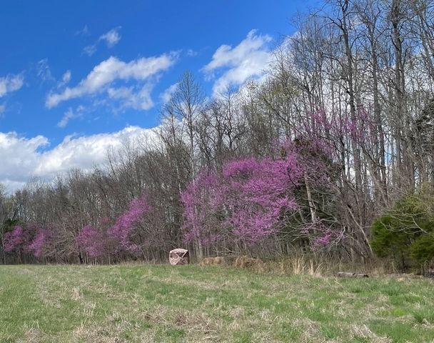 5365 Sango Rd, Clarksville, TN 37043