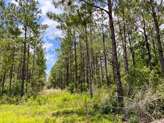 0 County Road 1425, Warren, TX 75979