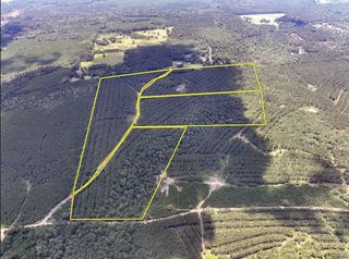 0 County Road 1425, Warren, TX 75979