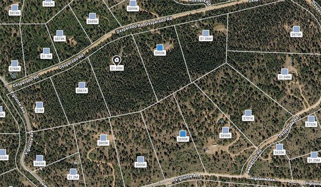 200 Desparado Road, Bailey, CO 80421