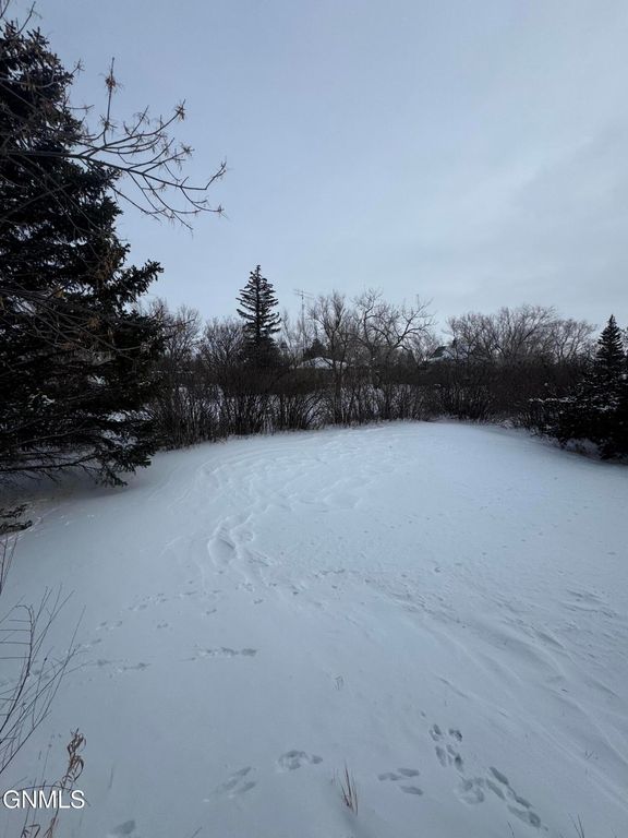 301 4th Avenue W, Columbus, ND 58727 photo 12