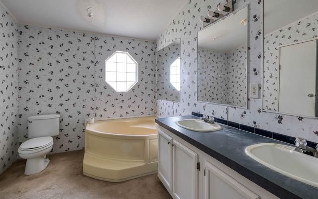 24430 Oak Hollow Boulevard, Hockley, TX 77447