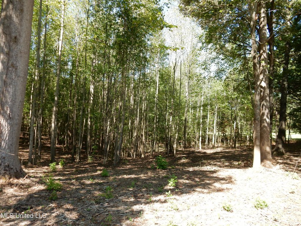 Lot 1 Cypress Corner Road, Senatobia, MS 38668 — photo 2