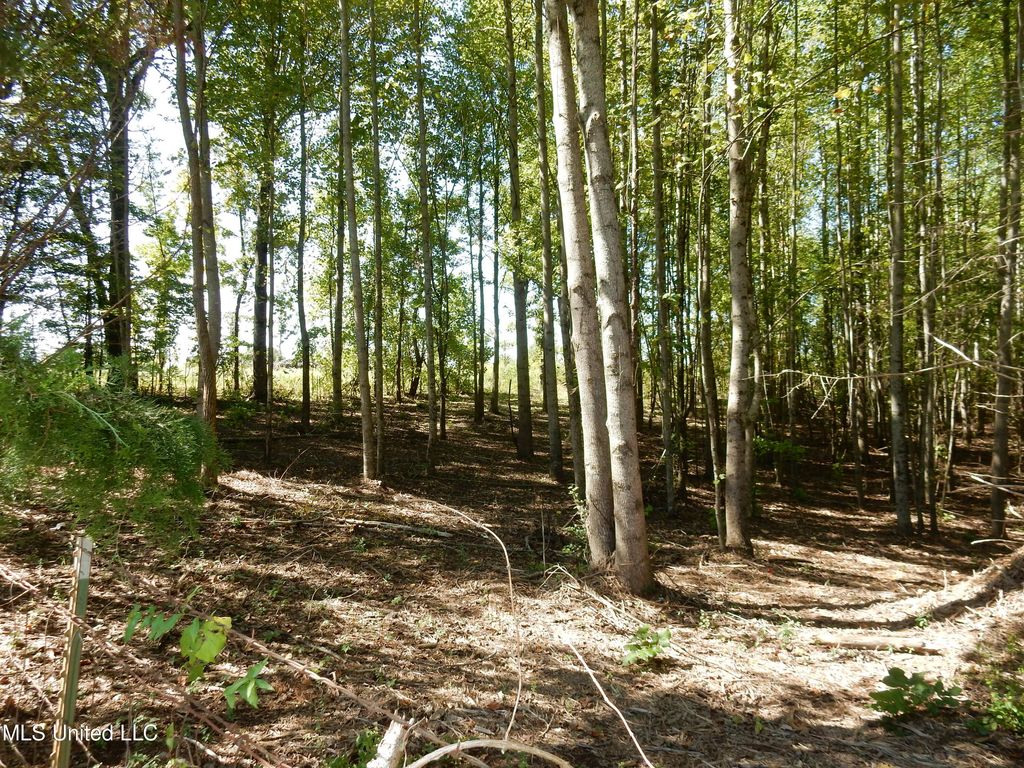 Lot 1 Cypress Corner Road, Senatobia, MS 38668 — photo 3