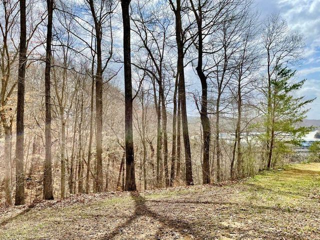 3 Marina Pointe Court, Jamestown, KY 42629