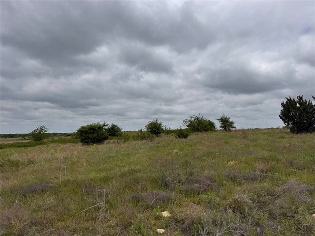 2908 Mattie Ross Road, Cresson, TX 76035