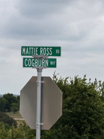 2908 Mattie Ross Road, Cresson, TX 76035