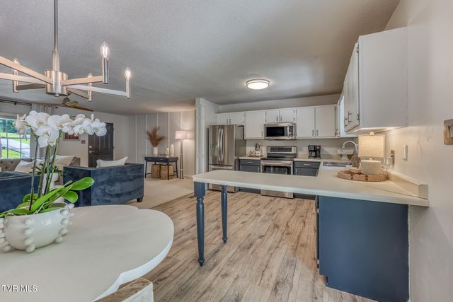 111 Margo Drive, Johnson City, TN 37601
