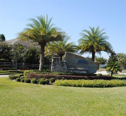 13303 MOSS PARK RIDGE DRIVE, Orlando, FL 32832