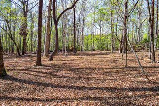 0 Club Road, Tryon, NC 28782