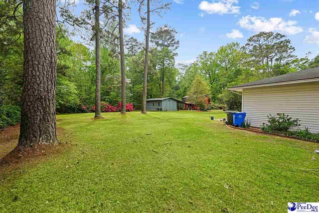 111 Brittain Rd, Darlington, SC 29532