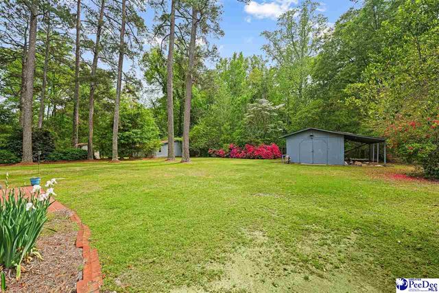 111 Brittain Rd, Darlington, SC 29532